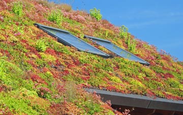 Great Bolas living roof systems