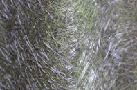 Great Bolas fibreglass roof work